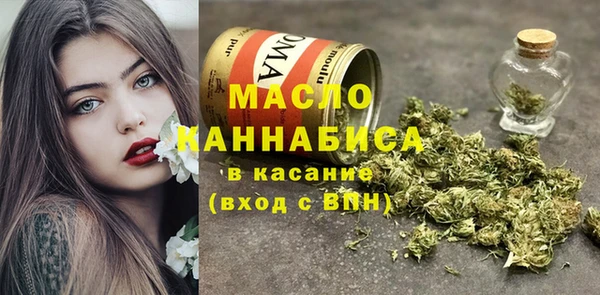 дмт Богородицк