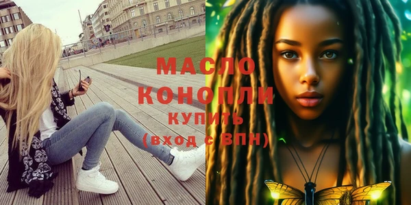 дмт Богородицк