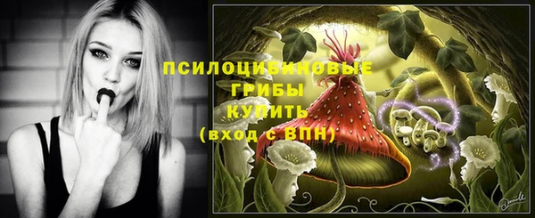 винт Богородск