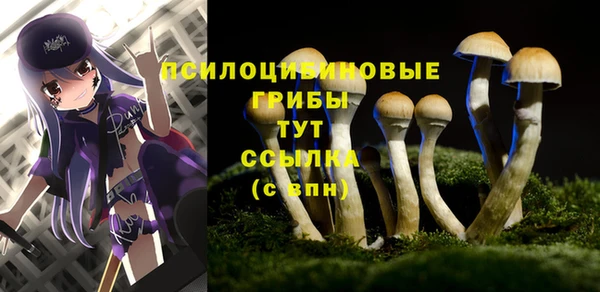 2c-b Богданович