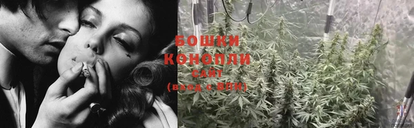 дмт Богородицк